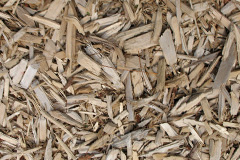 biomass boilers Tulliemet